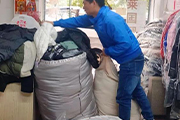 熱門資訊圖